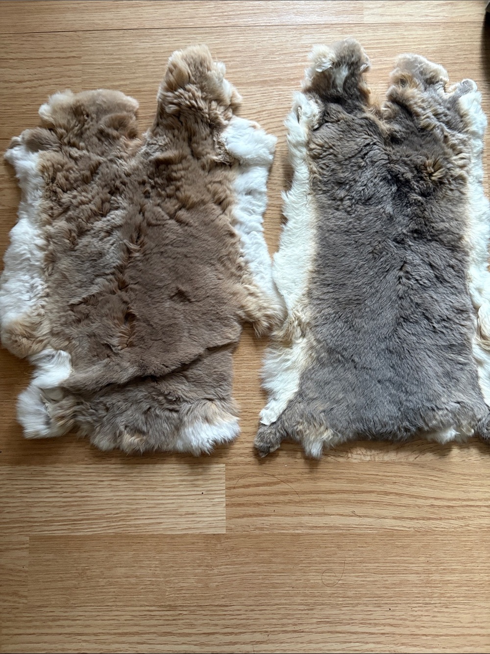 C0030 Soft Natural Rex Rabbit hide- Pair